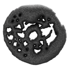 hello@klaratroost.com